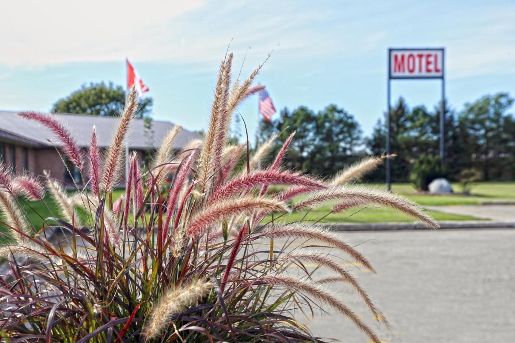 King Hotel Palmerston Dış mekan fotoğraf