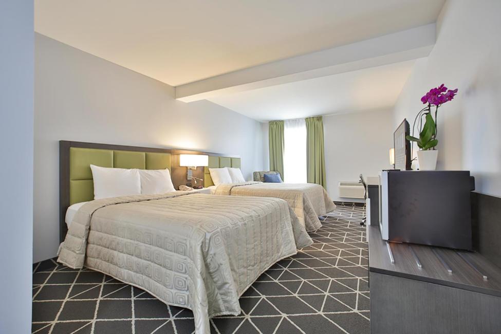 King Hotel Palmerston Dış mekan fotoğraf